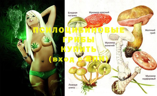 мяу мяу кристалл Арсеньев