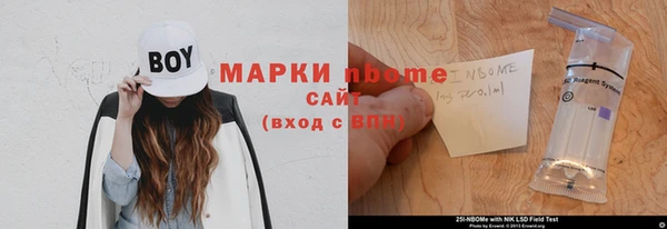 индика Аркадак