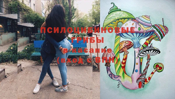 a pvp Алексин