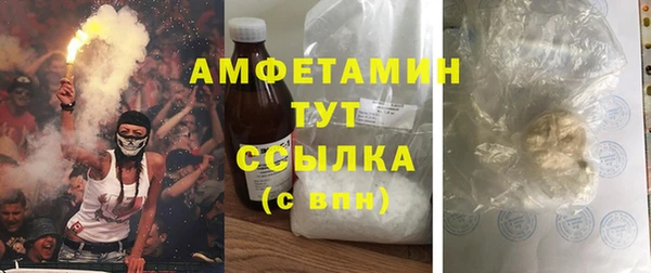 стафф Алзамай